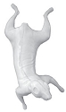 ES239
